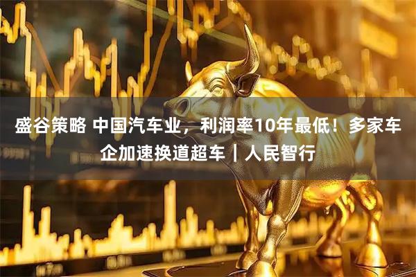 盛谷策略 中国汽车业，利润率10年最低！多家车企加速换道超车｜人民智行